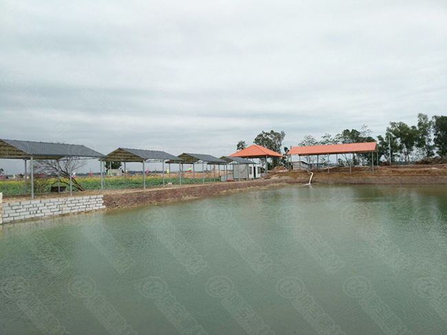 樹脂瓦休閑亭構(gòu)建“歡樂魚塘”，垂釣烤魚忙不停！