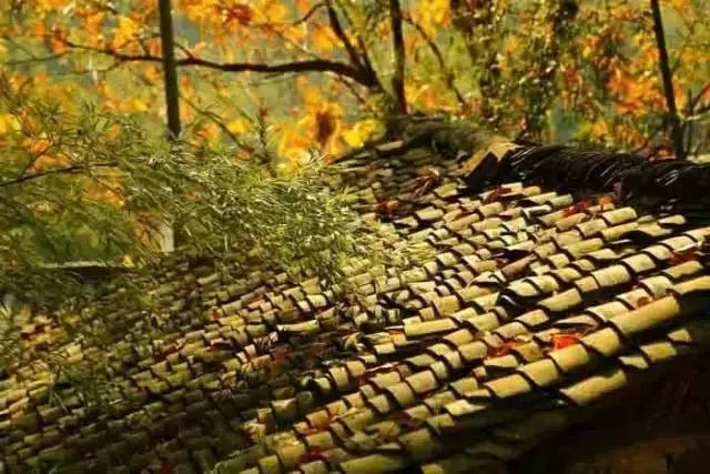 這樣的院子，只有中國人駕馭得了它！