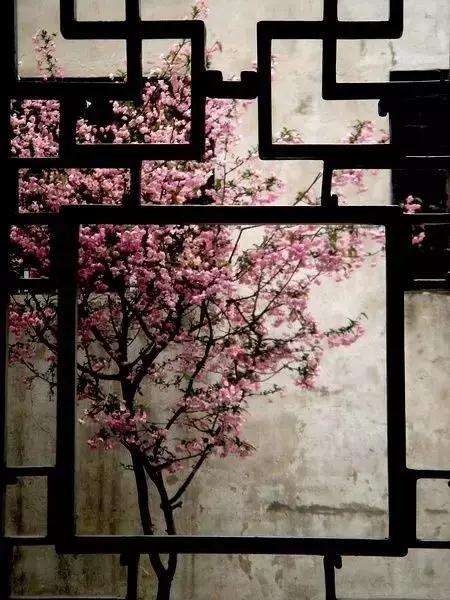 這樣的院子，只有中國人駕馭得了它！