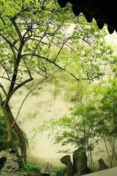 這樣的院子，只有中國人駕馭得了它！