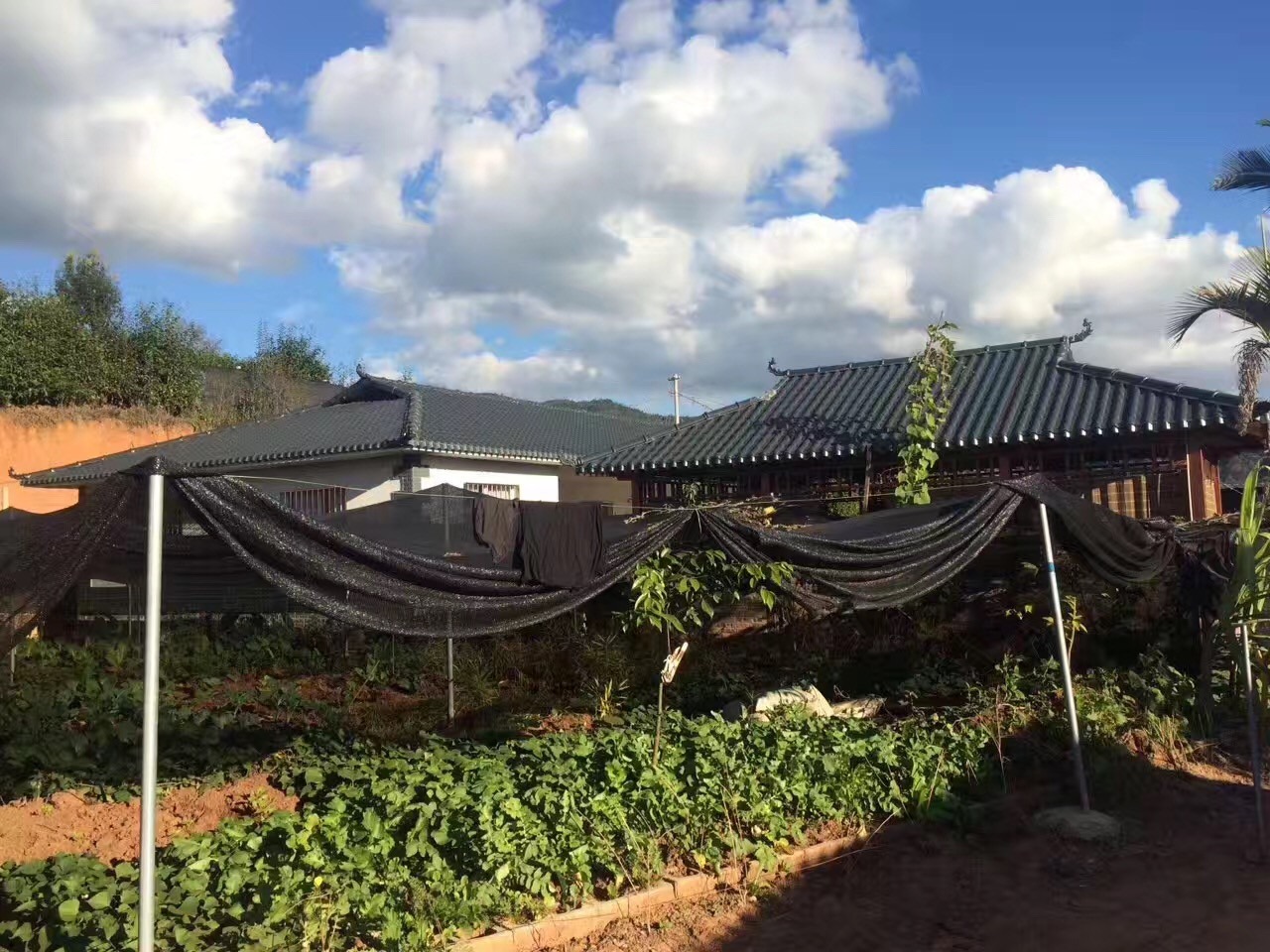 灰底樹脂瓦和白底樹脂瓦的區(qū)別有什么？價格差異為什么那么大？